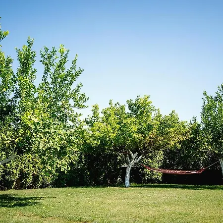 דירה Gravaris House