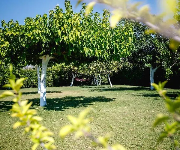 Apartamento Gravaris House *