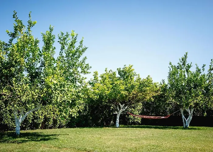 דירה Gravaris House