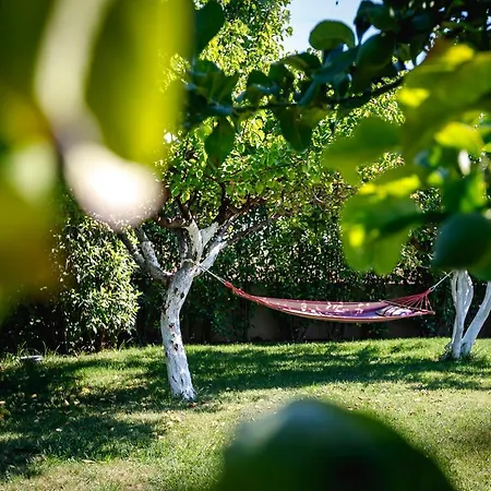 Gravaris House アパート